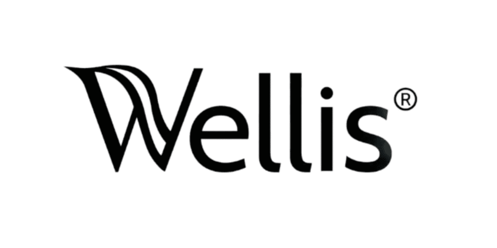 Portable Spas & Hot Tubs 5 Wellis